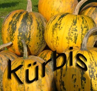 100% natürliches, echtes Steirisches Kürbiskernöl g.g.A. 0,5 Liter - 7