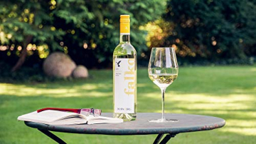 Dürnberg - Falko, Muskatellercuvée 2019 - Qualitäts Weißwein aus Österreich, trocken (6 x 0,75l) - 4