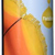 Fandler Bio-Sonnenblumenöl, 1er Pack (1 x 500 ml) - 1