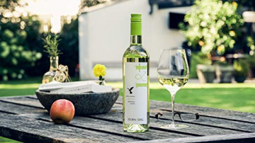 Grüner Veltliner L&T (leicht und trocken) 2019 - Qualitäts Weißwein aus Österreich,trocken (6 x 0,75l) - 2