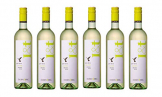 Grüner Veltliner L&T (leicht und trocken) 2019 - Qualitäts Weißwein aus Österreich,trocken (6 x 0,75l) - 1