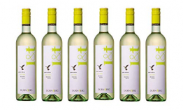 Grüner Veltliner L&T (leicht und trocken) 2019 - Qualitäts Weißwein aus Österreich,trocken (6 x 0,75l) - 1