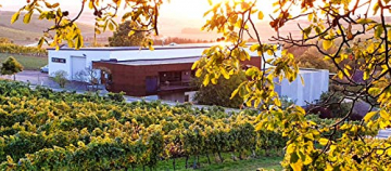 Grüner Veltliner L&T (leicht und trocken) 2019 - Qualitäts Weißwein aus Österreich,trocken (6 x 0,75l) - 4