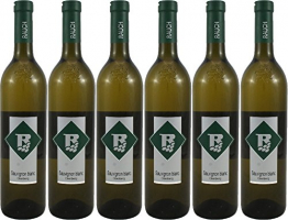 Sauvignon blanc Ried Oberberg 2017 Vulkanland Steiermark 6 Flaschen Weinhof Rauch - 1