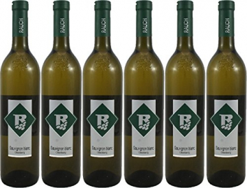 Sauvignon blanc Ried Oberberg 2017 Vulkanland Steiermark 6 Flaschen Weinhof Rauch - 1