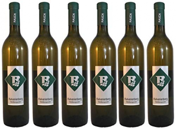 Weißburgunder Ried Kalvarienberg 2017 Vulkanland Steiermark 6 Flaschen Weinhof Rauch - 1